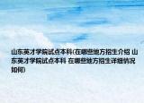 山东英才学院试点本科(在哪些地方招生介绍 山东英才学院试点本科 在哪些地方招生详细情况如何)
