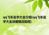 qq飞车名字大全介绍(qq飞车名字大全详细情况如何)