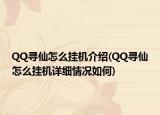 QQ寻仙怎么挂机介绍(QQ寻仙怎么挂机详细情况如何)