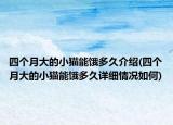 四个月大的小猫能饿多久介绍(四个月大的小猫能饿多久详细情况如何)