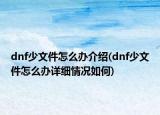 dnf少文件怎么办介绍(dnf少文件怎么办详细情况如何)