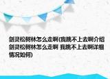 剑灵松树林怎么走啊(我跳不上去啊介绍 剑灵松树林怎么走啊 我跳不上去啊详细情况如何)