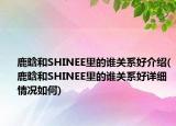 鹿晗和SHINEE里的谁关系好介绍(鹿晗和SHINEE里的谁关系好详细情况如何)