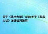关于《非常大状》介绍(关于《非常大状》详细情况如何)