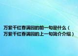 万紫千红春满园的前一句是什么（万紫千红春满园的上一句简介介绍）