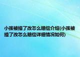 小孩被撞了改怎么赔偿介绍(小孩被撞了改怎么赔偿详细情况如何)