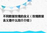 不同数量玫瑰的含义（玫瑰数量含义是什么简介介绍）
