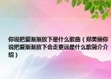 你说把爱渐渐放下是什么歌曲（郑美丽你说把爱渐渐放下会走更远是什么歌简介介绍）