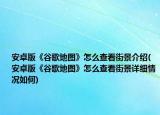 安卓版《谷歌地图》怎么查看街景介绍(安卓版《谷歌地图》怎么查看街景详细情况如何)