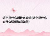 这个是什么叫什么介绍(这个是什么叫什么详细情况如何)