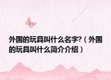外国的玩具叫什么名字?（外国的玩具叫什么简介介绍）