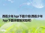 西街少年3gp下载介绍(西街少年3gp下载详细情况如何)