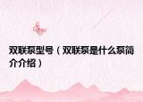 双联泵型号（双联泵是什么泵简介介绍）