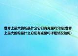 世界上最大的蛇是什么它们有克星吗介绍(世界上最大的蛇是什么它们有克星吗详细情况如何)