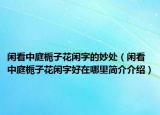 闲看中庭栀子花闲字的妙处（闲看中庭栀子花闲字好在哪里简介介绍）