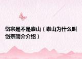 岱宗是不是泰山（泰山为什么叫岱宗简介介绍）