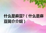 什么是麻豆?（什么是麻豆简介介绍）