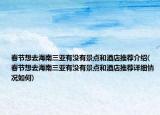 春节想去海南三亚有没有景点和酒店推荐介绍(春节想去海南三亚有没有景点和酒店推荐详细情况如何)