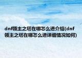 dnf领主之塔在哪怎么进介绍(dnf领主之塔在哪怎么进详细情况如何)