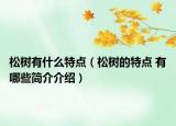 松树有什么特点（松树的特点 有哪些简介介绍）