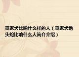 丧家犬比喻什么样的人（丧家犬地头蛇比喻什么人简介介绍）