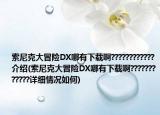 索尼克大冒险DX哪有下载啊????????????介绍(索尼克大冒险DX哪有下载啊????????????详细情况如何)