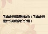 飞禽走兽指哪些动物（飞禽走兽是什么动物简介介绍）