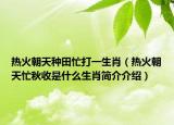 热火朝天种田忙打一生肖（热火朝天忙秋收是什么生肖简介介绍）