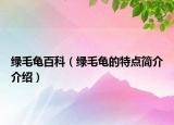绿毛龟百科（绿毛龟的特点简介介绍）