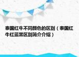 泰国红牛不同颜色的区别（泰国红牛红蓝黑区别简介介绍）
