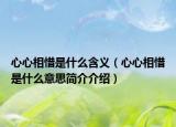 心心相惜是什么含义（心心相惜是什么意思简介介绍）