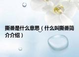 撕番是什么意思（什么叫撕番简介介绍）