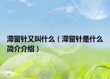 滞留针又叫什么（滞留针是什么简介介绍）