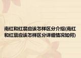 南红和红翡应该怎样区分介绍(南红和红翡应该怎样区分详细情况如何)