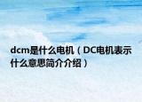 dcm是什么电机（DC电机表示什么意思简介介绍）