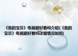 《我的宝贝》电视剧好看吗介绍(《我的宝贝》电视剧好看吗详细情况如何)