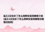 霸王2汉化补丁怎么用啊安装到哪里介绍(霸王2汉化补丁怎么用啊安装到哪里详细情况如何)