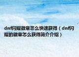 dnf闪耀徽章怎么快速获得（dnf闪耀的徽章怎么获得简介介绍）