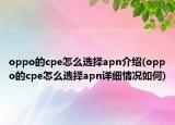 oppo的cpe怎么选择apn介绍(oppo的cpe怎么选择apn详细情况如何)