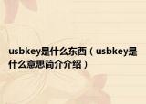 usbkey是什么东西（usbkey是什么意思简介介绍）