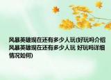 风暴英雄现在还有多少人玩(好玩吗介绍 风暴英雄现在还有多少人玩 好玩吗详细情况如何)