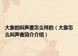 大象的叫声是怎么样的（大象怎么叫声音简介介绍）