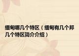 缅甸哪几个特区（缅甸有几个邦几个特区简介介绍）