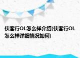 侠客行OL怎么样介绍(侠客行OL怎么样详细情况如何)