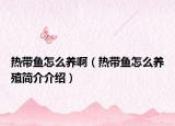 热带鱼怎么养啊（热带鱼怎么养殖简介介绍）