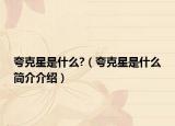 夸克星是什么?（夸克星是什么简介介绍）