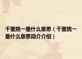 千里挑一是什么意思（千里挑一是什么意思简介介绍）