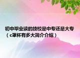 初中毕业读的技校是中专还是大专（c罩杯有多大简介介绍）