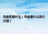 乌金形容什么（乌金是什么简介介绍）