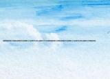 我想知道雷伊是什么性格好(雷伊的学习力应该刷什么 怎么刷学习力 用什么怪刷学习力介绍 我想知道雷伊是什么性格好 雷伊的学习力应该刷什么 怎么刷学习力 用什么怪刷学习力详细情况如何)